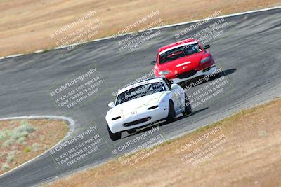 media/May-06-2023-Lucky Dog Racing (Sat) [[8f2256f436]]/Turn 2 10a/